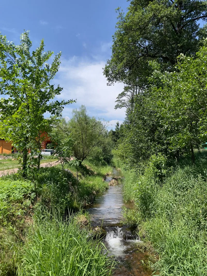 Potok mezi stromy u roubenky